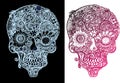 Scull with flower and ornamentation decoration vector illustrationset Royalty Free Stock Photo